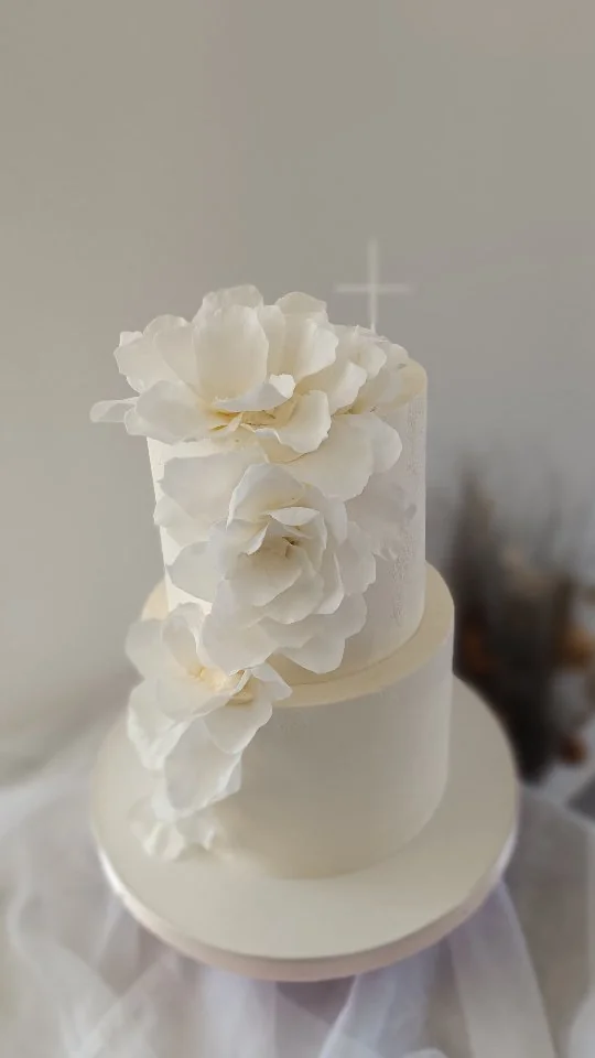 Modern torta ili desert #27